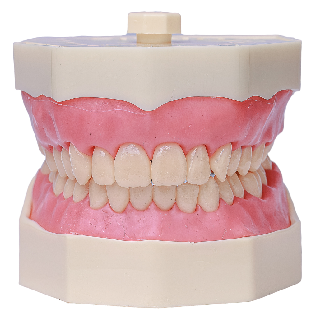 MNQ DE DENTISTICA COR 05 (101.5)