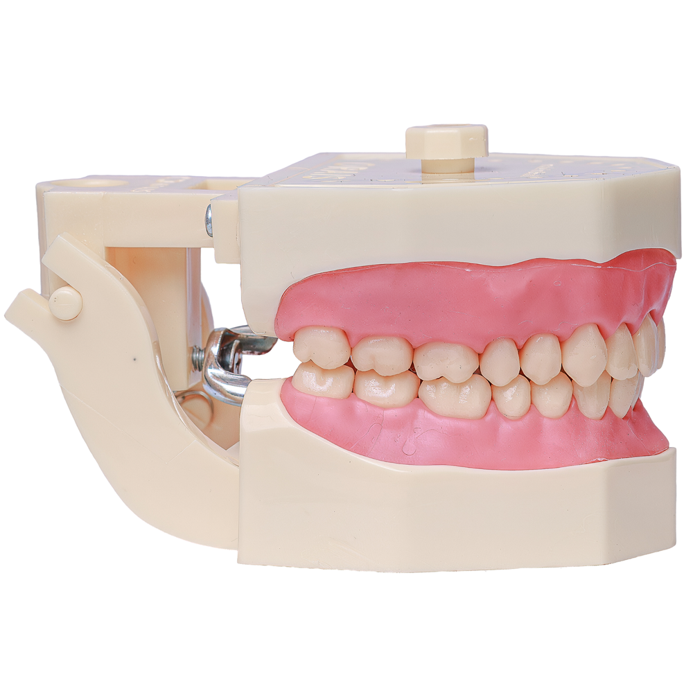 MNQ DE DENTISTICA COR 05 (101.5)