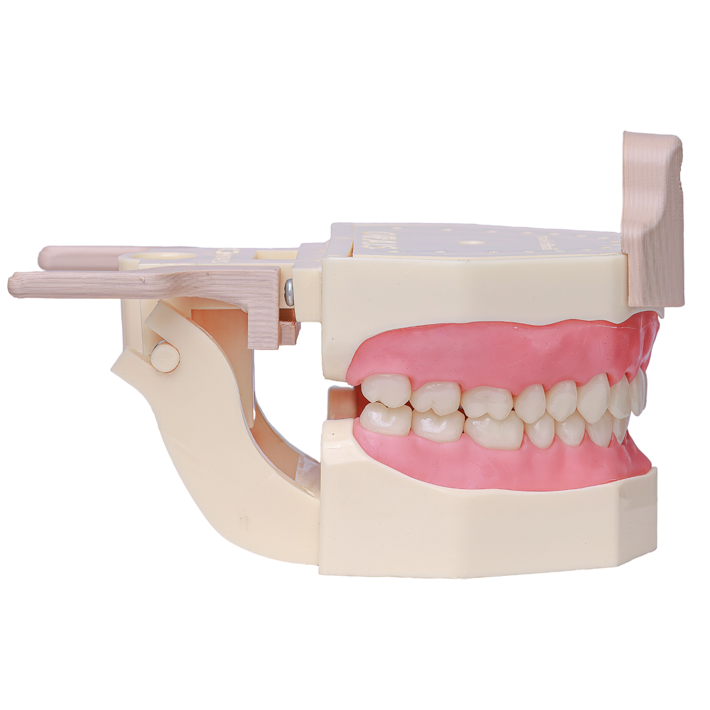 MNQ DE DENTISTICA COM DA (101DA)