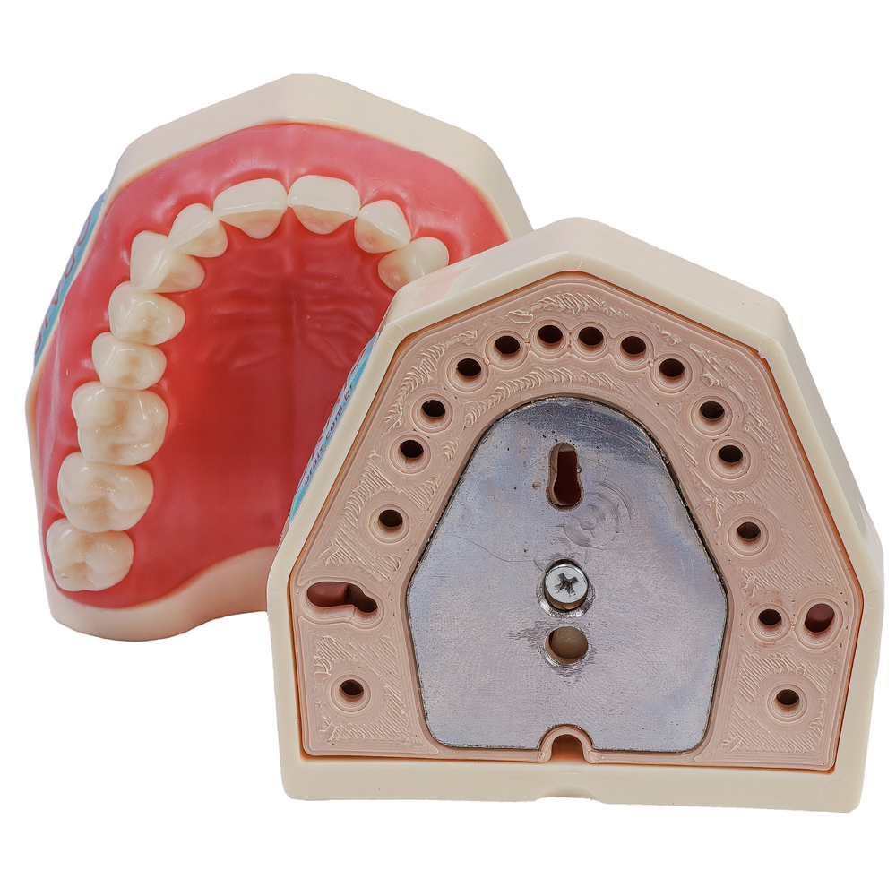 MNQ DE DENTISTICA IMA (101-IMA)