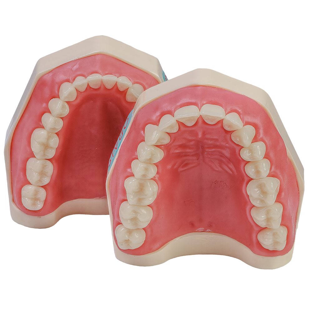 MNQ DE DENTISTICA IMA (101-IMA)