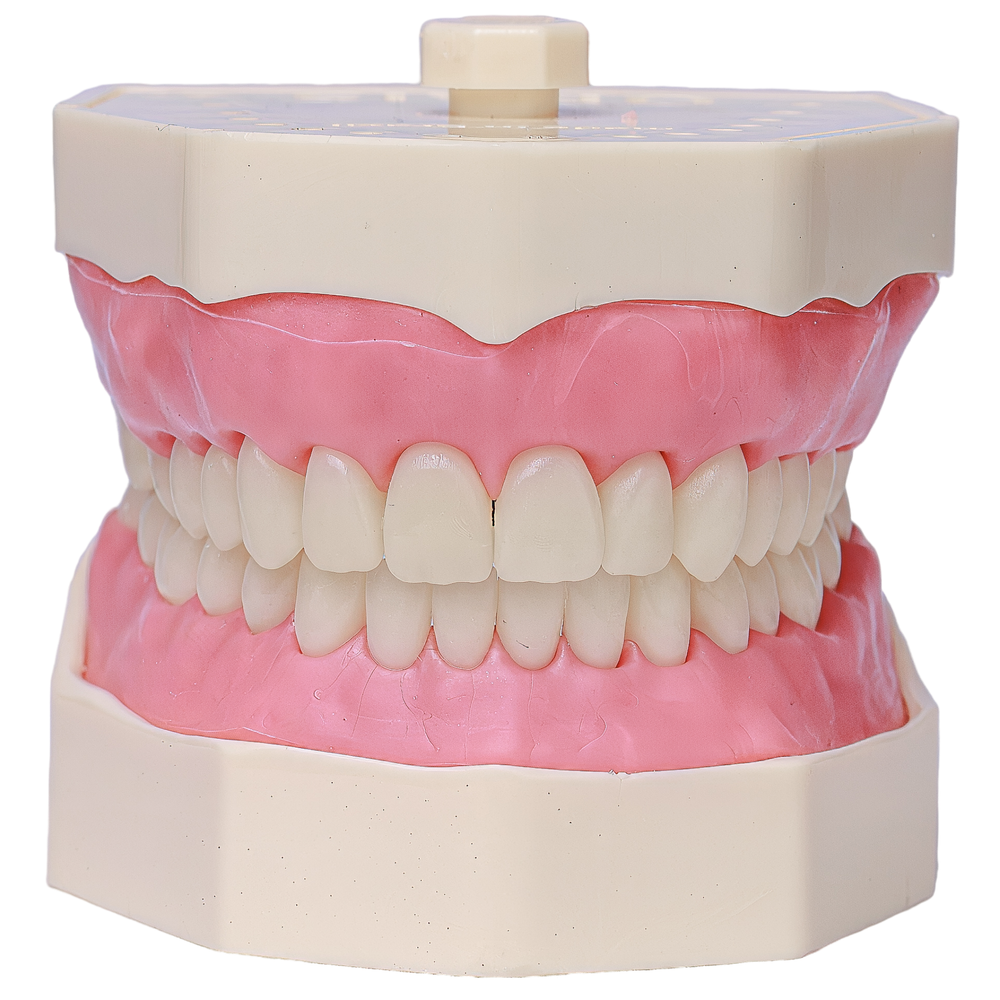 MNQ DE DENTISTICA (101ip)