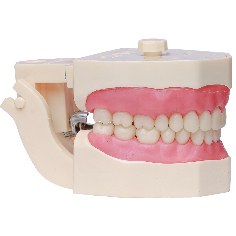 MNQ DE DENTISTICA (101ip)