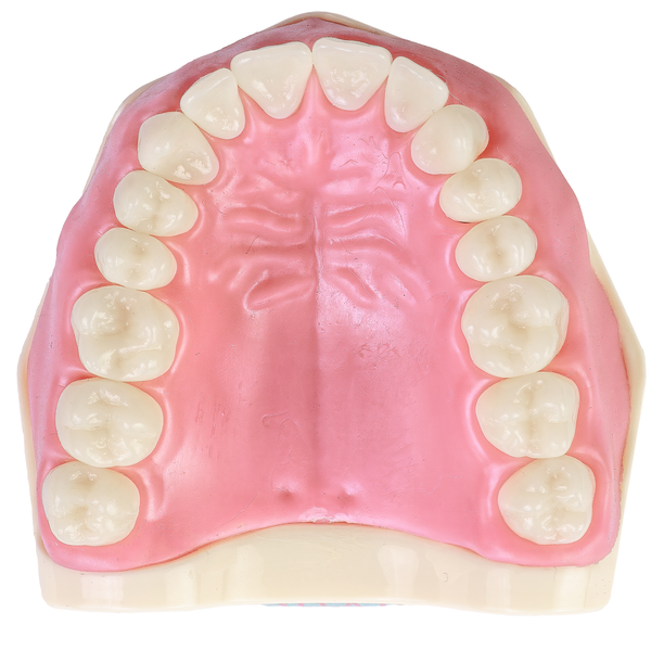 MNQ SUPERIOR DENTISTICA  (101SUP)