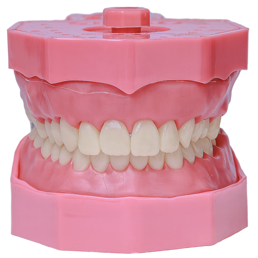 MNQ DE DENTISTICA ROSA (101ROSA)