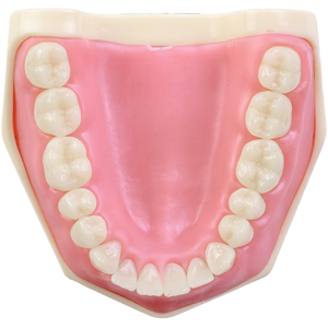 MNQ DE DENTISTICA (101)