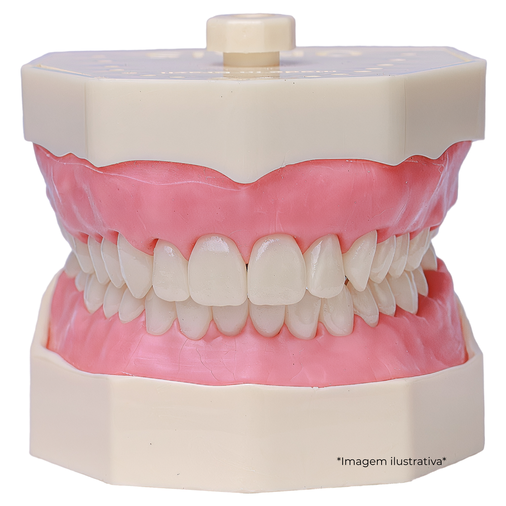 MNQ MTD DENTISTICA COM PREPAROS  (102)