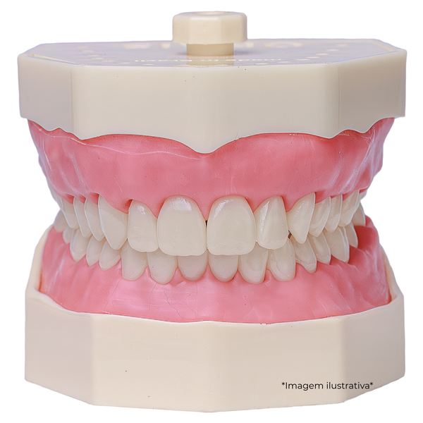MNQ MTD DENTISTICA COM PREPAROS  (102)