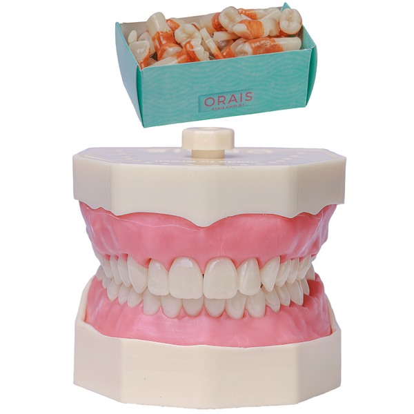 KIT DENTÍSTICA/PERIO 1032  (1032)