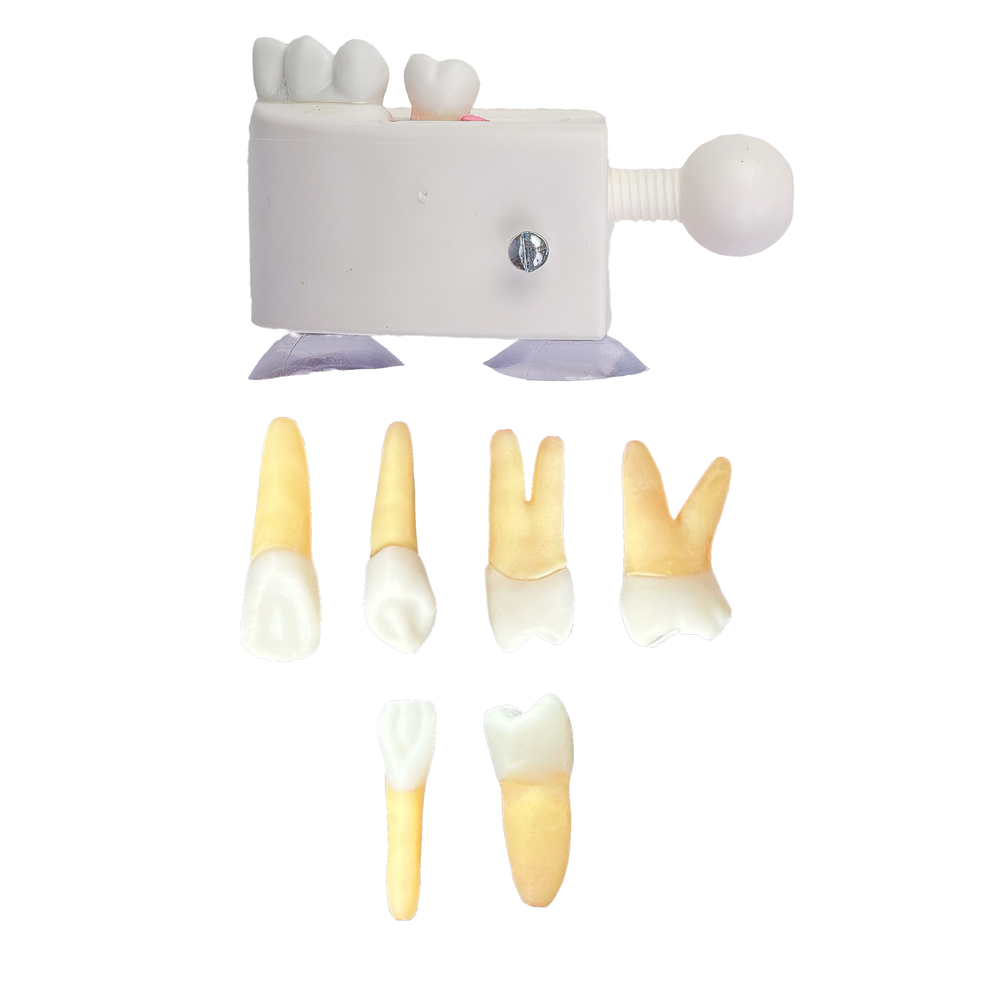 KIT Endo ORAIS MANAUS (10403)