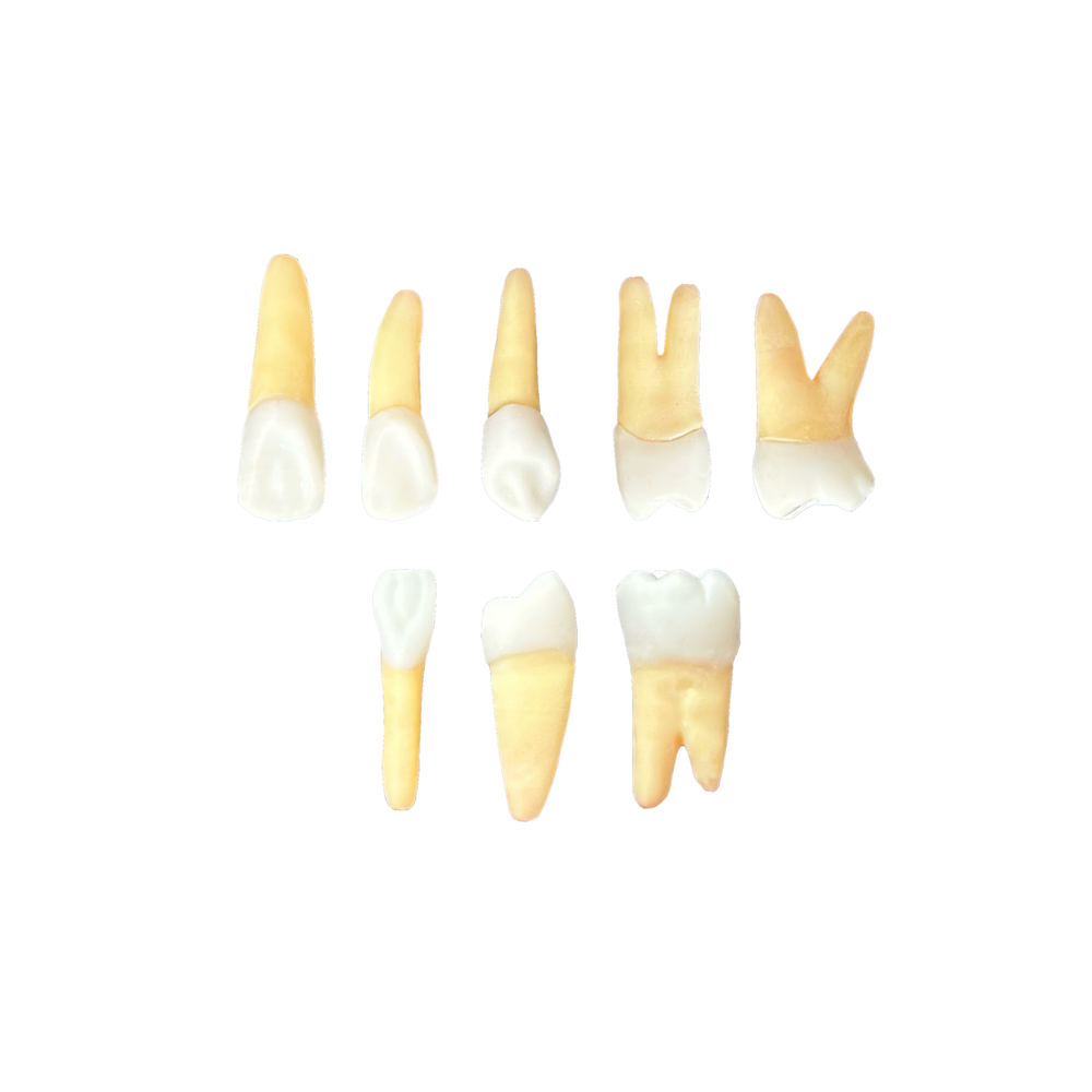 KIT de Endo UniFIS -Serra Talhada