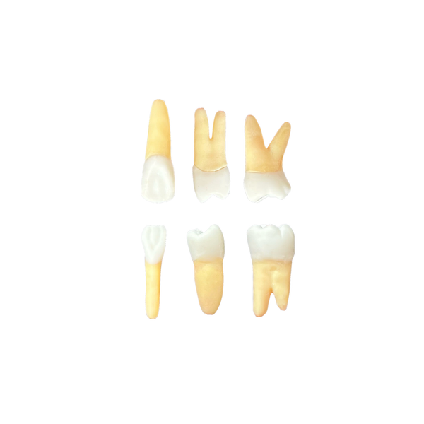 KIT UNICEP MANEQUIM MTD J234 ADAPTAÇAO DA + DENTES HÍGIDOS (2234)