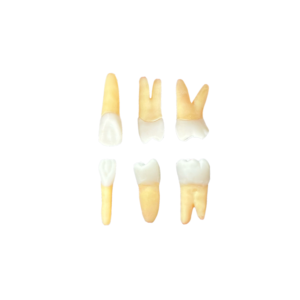 KIT de endo Positivo - Curitiba - PR (10406)