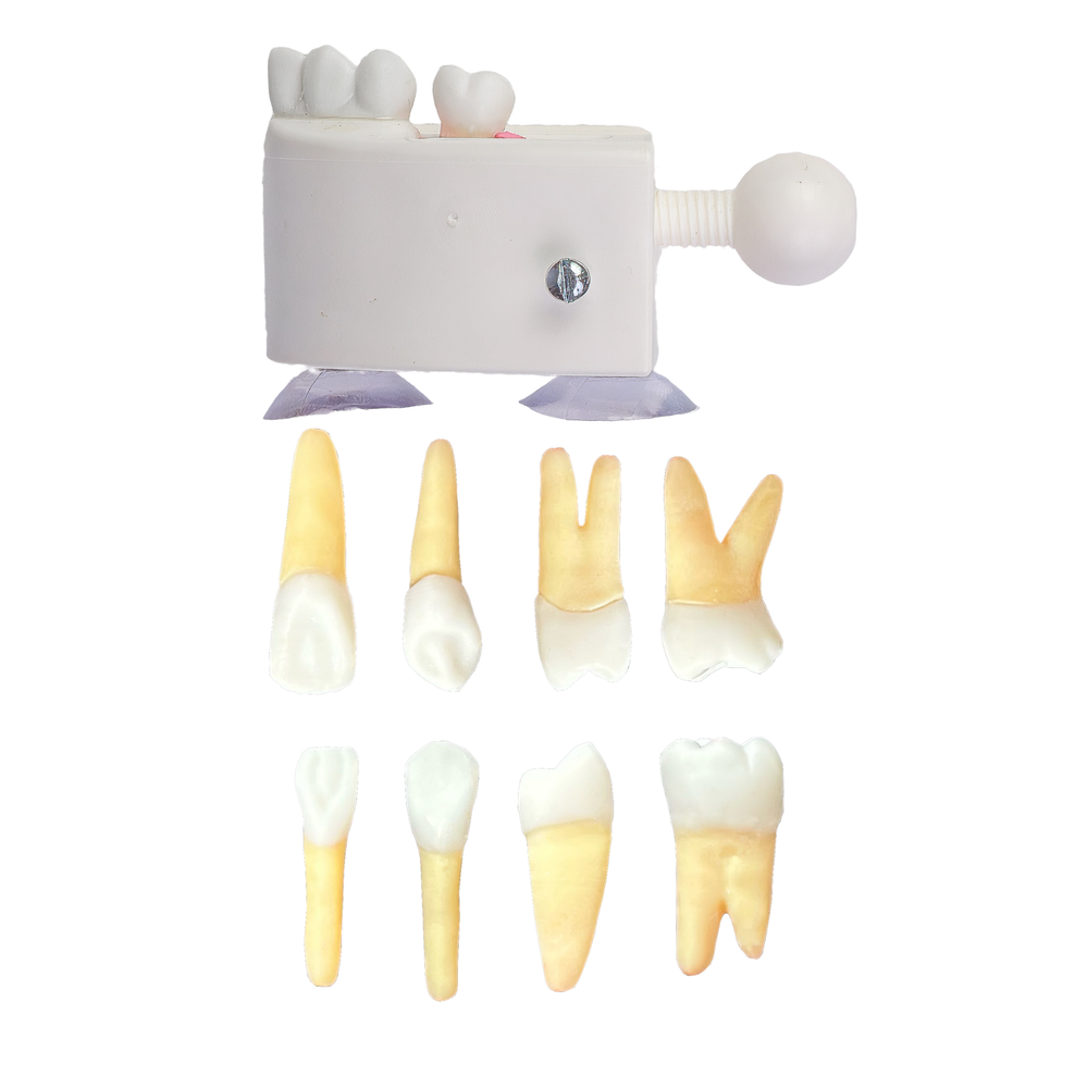 KIT Endo FACID - PI (10407)