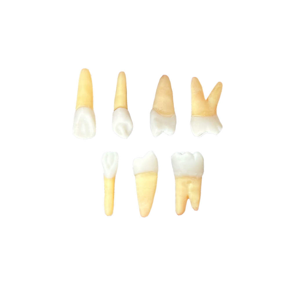 KIT de Endo UGV  (10408)