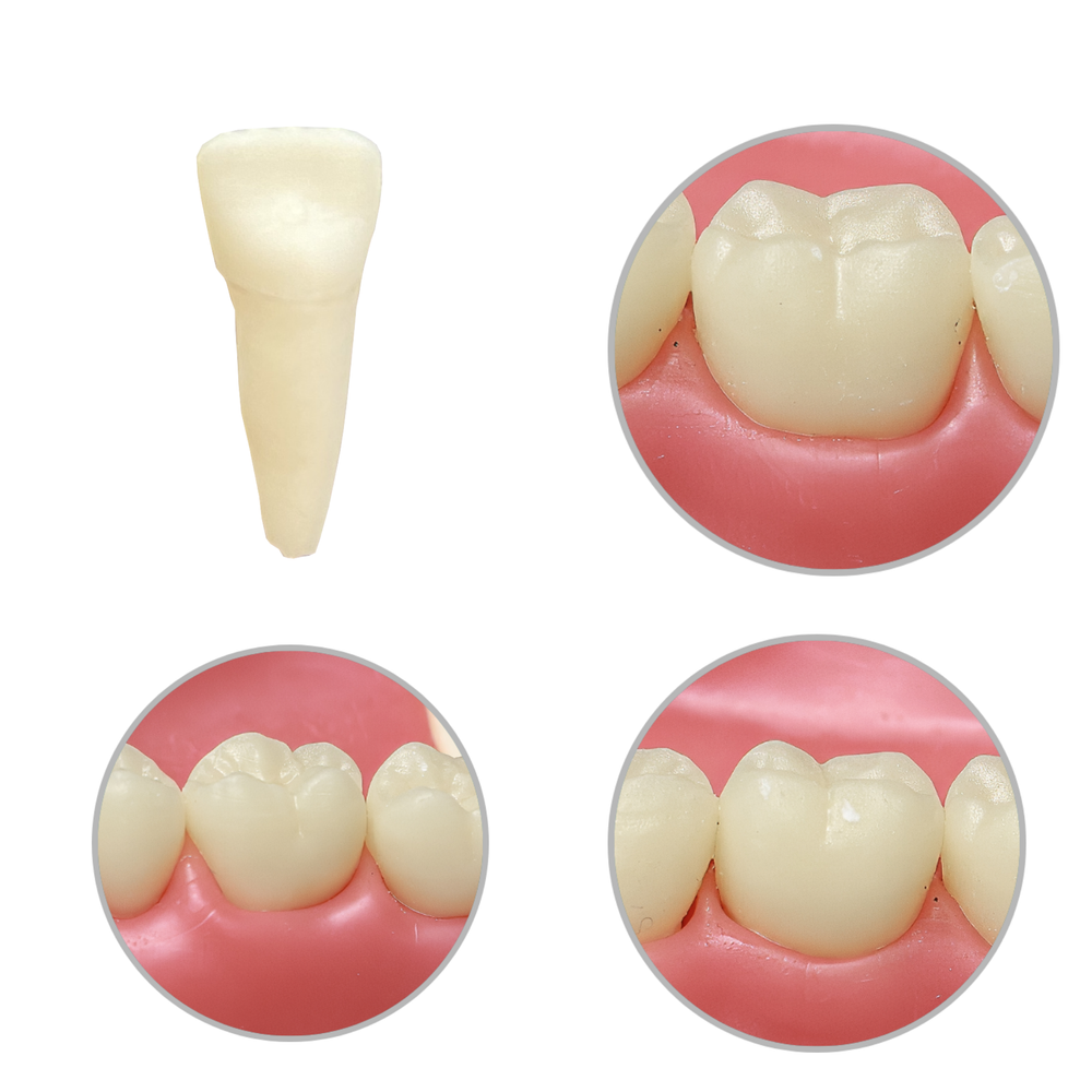 JG DENTES PEDIATRIA UCB (10410)