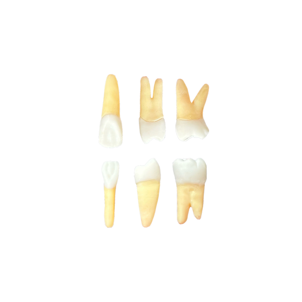 KIT de Endo Fibra  (10413)
