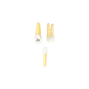KIT de dentes Endo Fametro (10414)