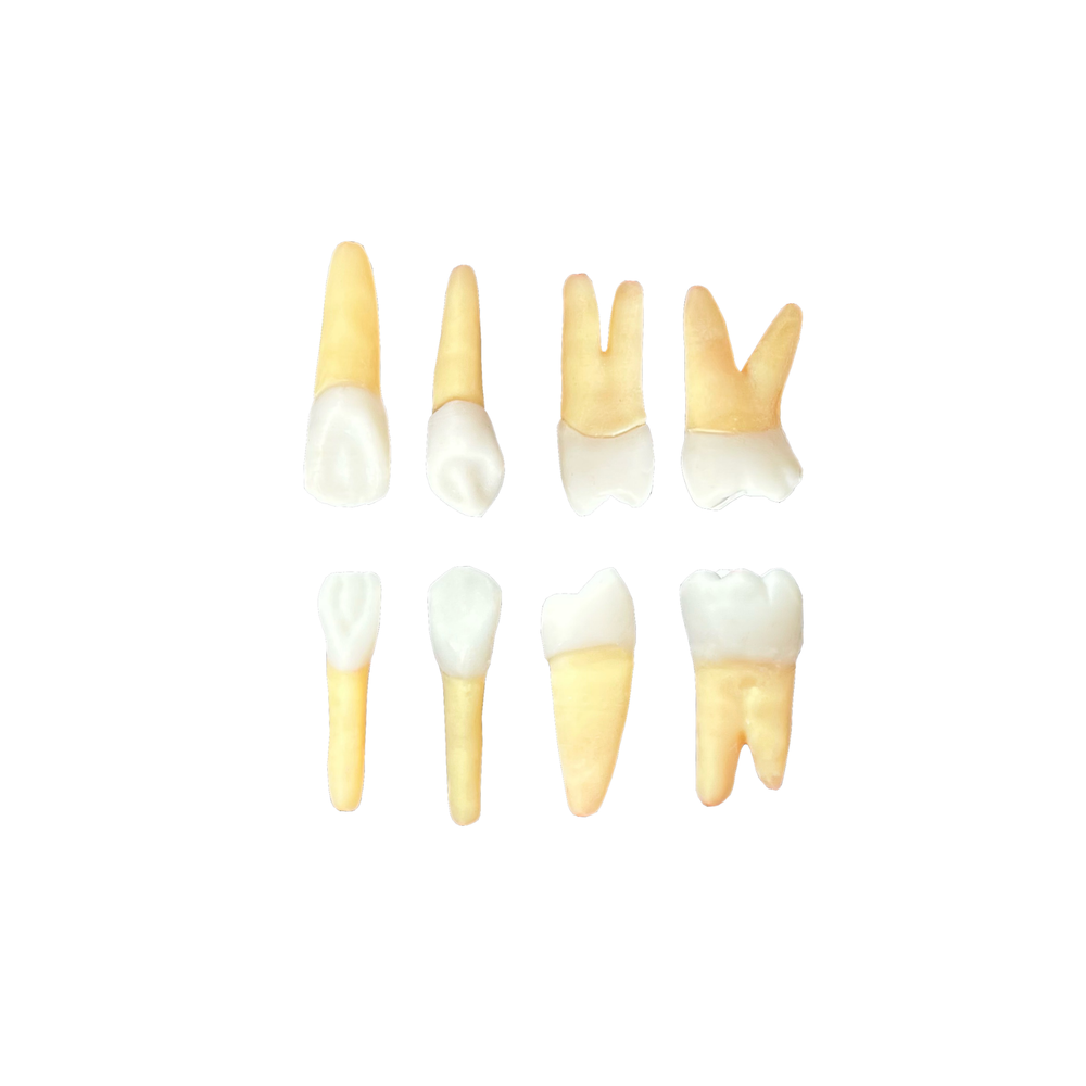 KIT de Endo FACID (10415)