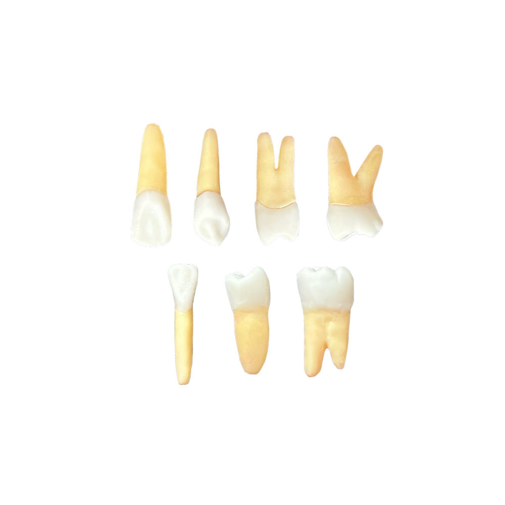 KIT Endo CTA (10416)