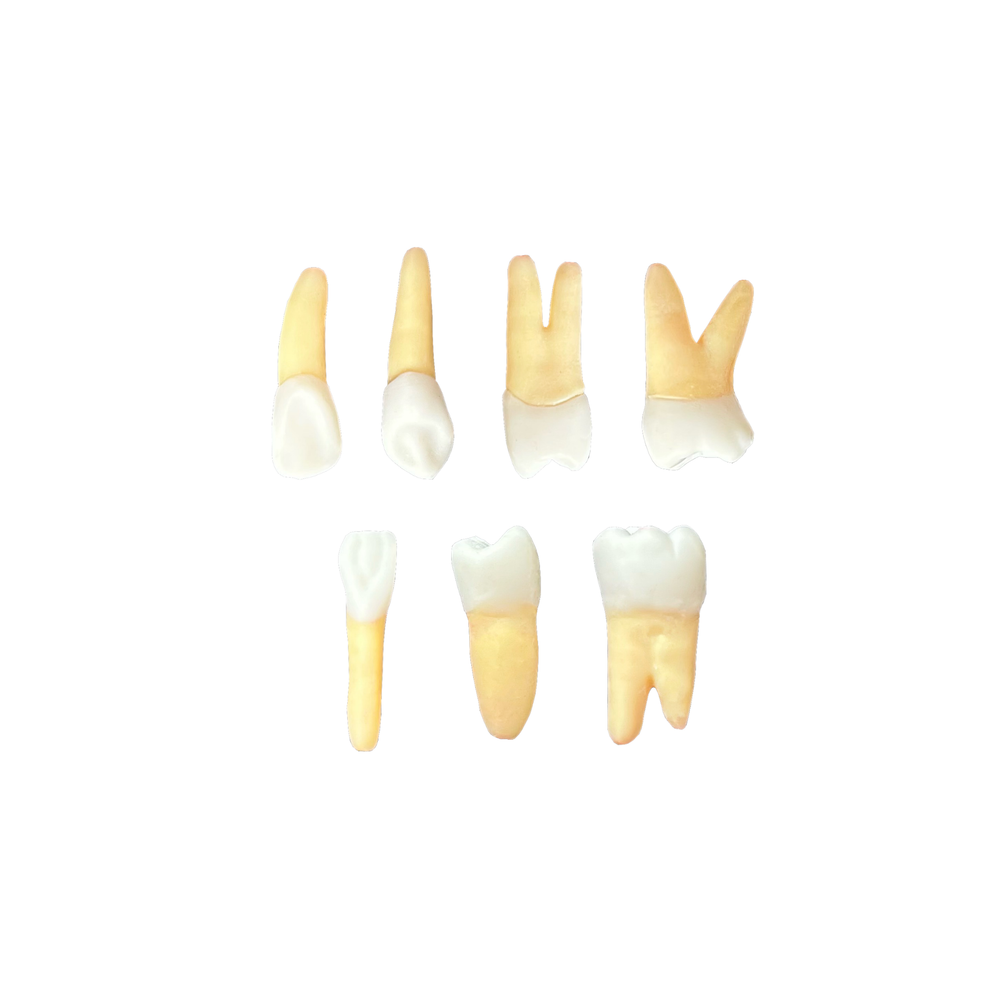 KIT de endo Cespu (10418)