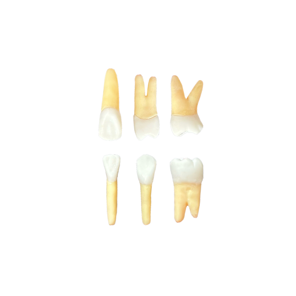 KIT de endo ESTÁCIO DF (10419)