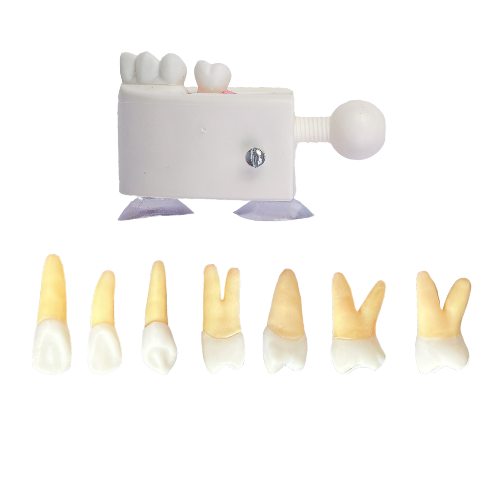 Kit Endodontia NOVAFAPI (10425)