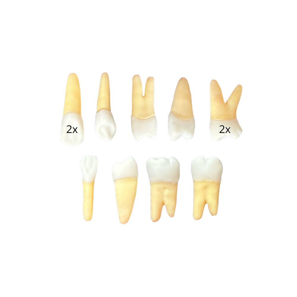 Jogo endodontia NewtonPaiva (10426)