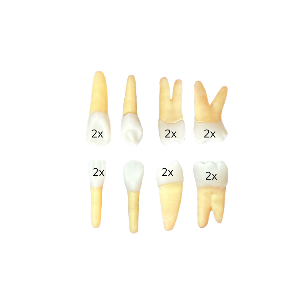 Jogo endodontia insteed Campo Grande (10428)