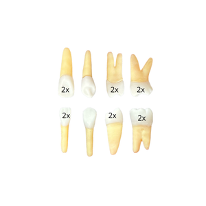 Jogo endodontia insteed Campo Grande (10428)