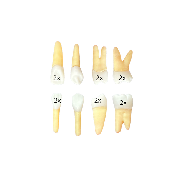 Jogo endodontia insteed Campo Grande (10428)