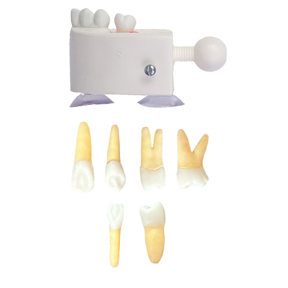 KIT Endo UNAMA Boa Vista (10433)