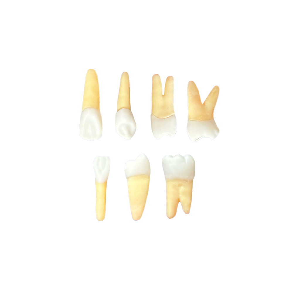 KIT Endododntia Ulbra Canoas (10434)