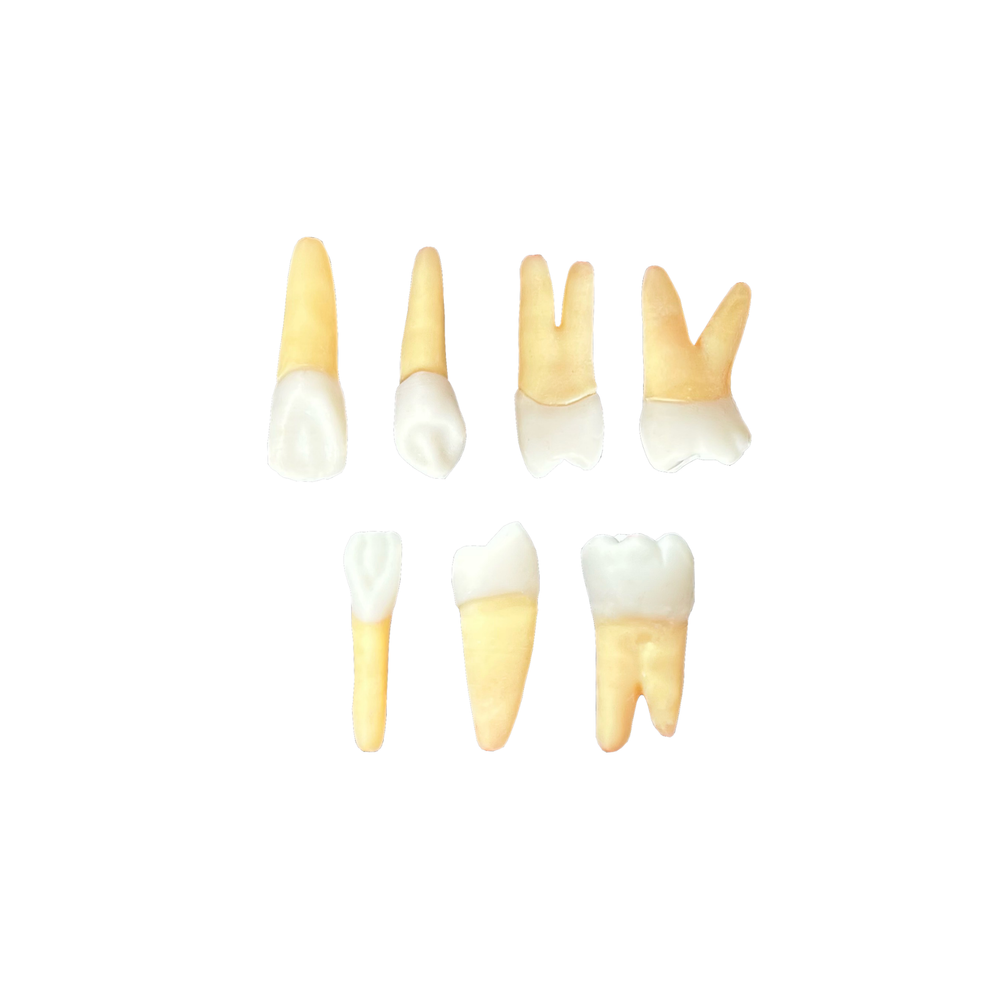 Kit Endo Unipar - Umuarama (10436)