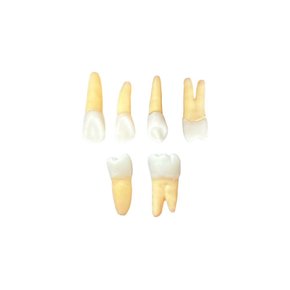 Kit Endododontia Estacio - Niterói (10437)