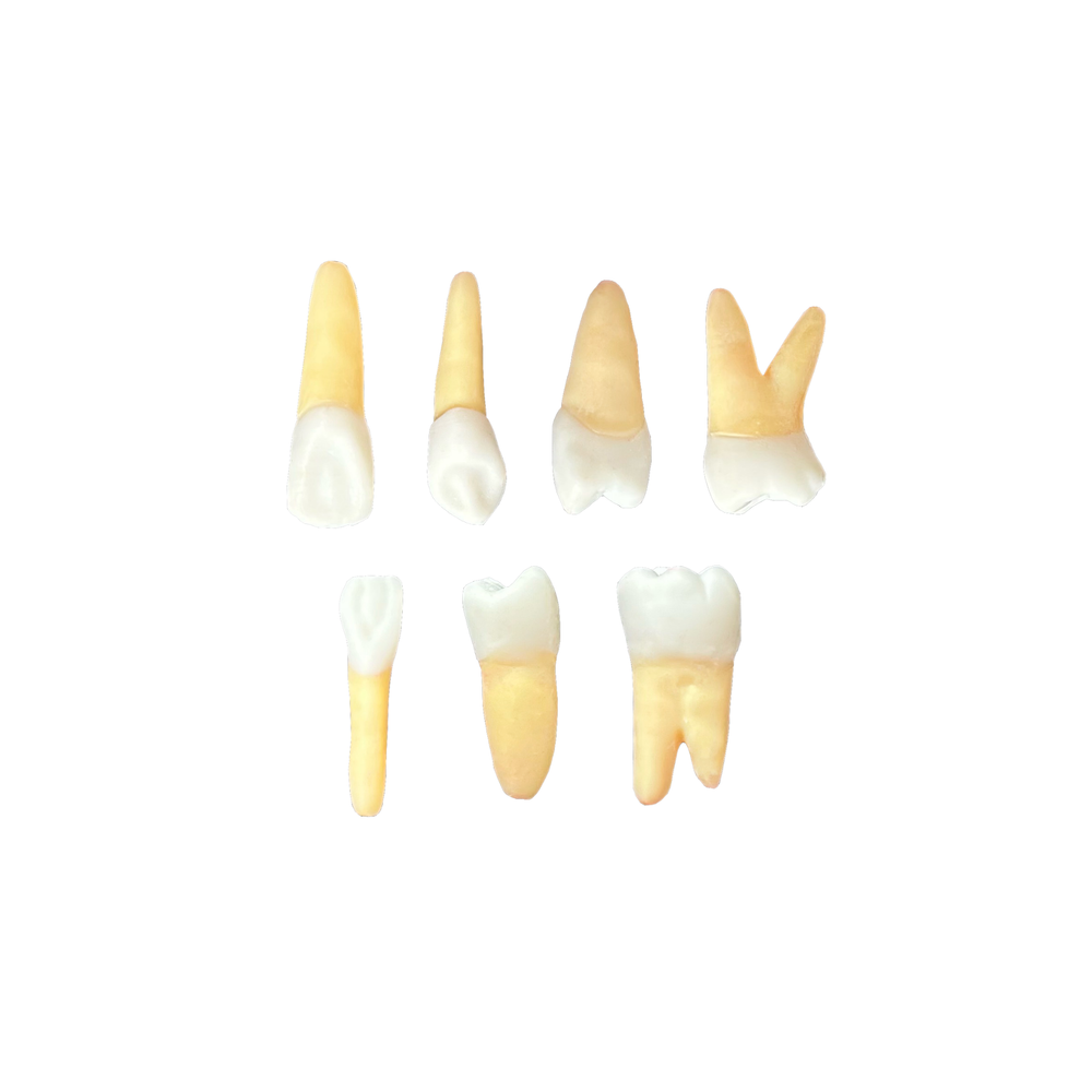 Kit Endodontia CESPU - PE (10438)