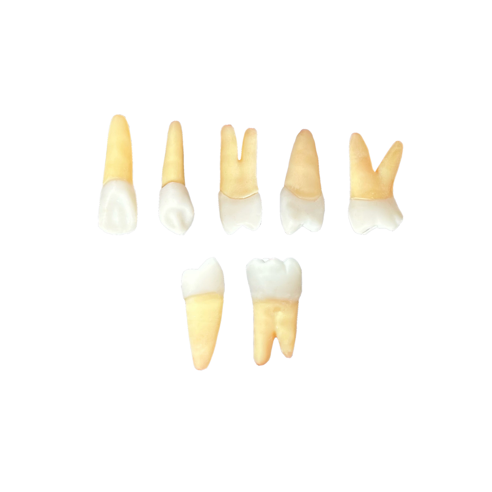 Kit Endodontia UNIVAG- MT (10440)