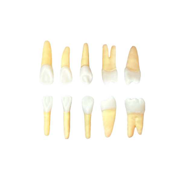 Kit Endodontia FAC SOBERANA (10441)