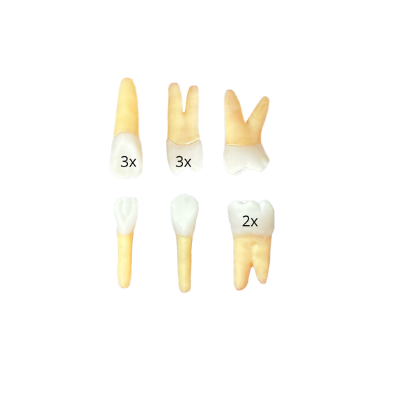 Kit Endodontia INSTED (10444)