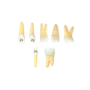 Kit Endodontia UNA Divinópolis (10446)
