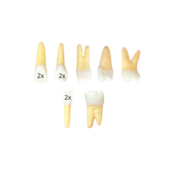 Kit Endodontia UNA Divinópolis (10446)