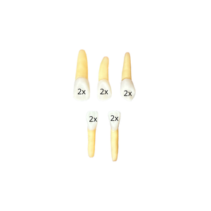 Kit Endodontia FAMIG (10451)