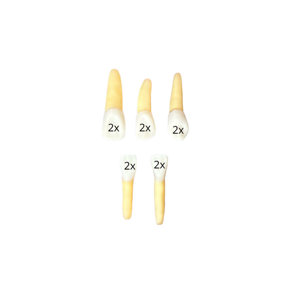 Kit Endodontia FAMIG (10451)