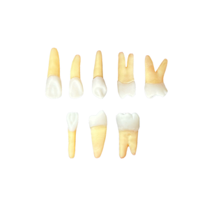 Kit Endodontia Unifamma Maringá (10452)