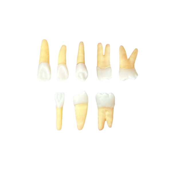 Kit Endodontia Unifamma Maringá (10452)