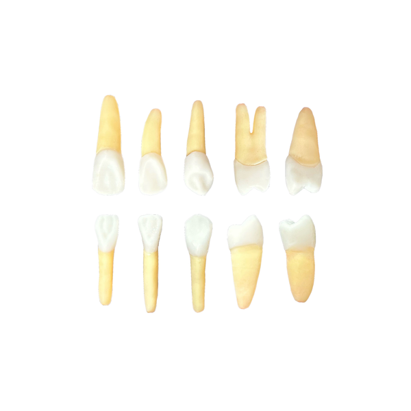 Kit Endodontia Unifatecie (10456)
