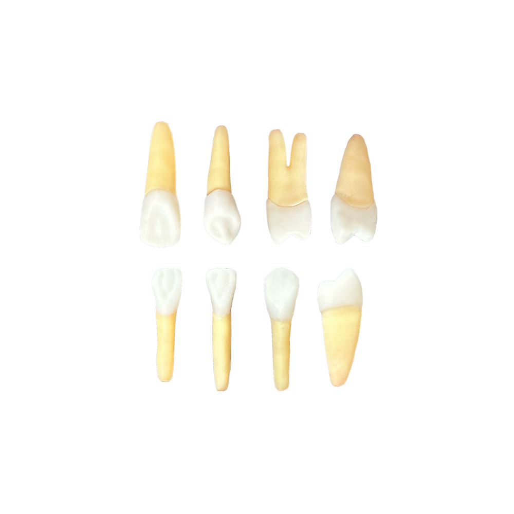 Kit Endodontia FSG (10457)