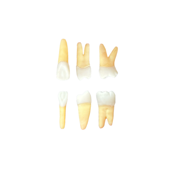Kit Endodontia unama gentil (10458)