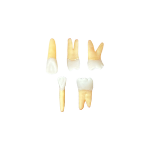 Kit Endodontia Estácio Niterói (10459)