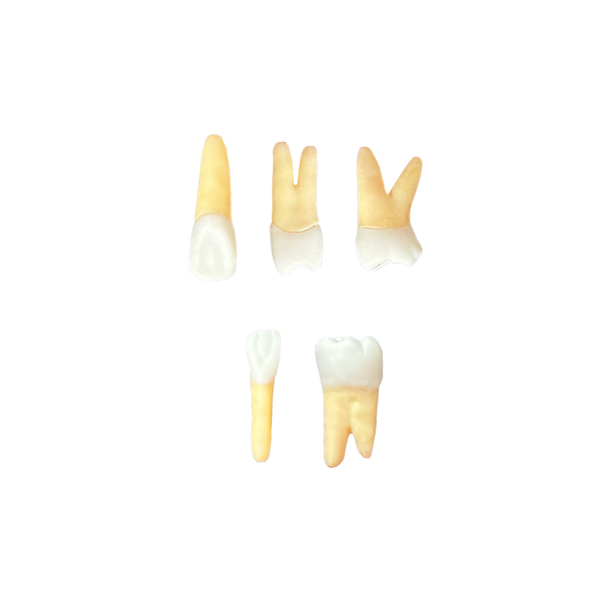 Kit Endodontia ARIA (10462)